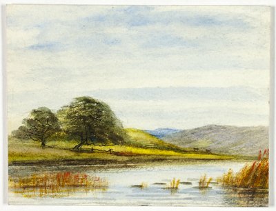 Paesaggio paludoso da Unknown artist