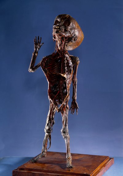 Medicina: figurina di buccia da Unknown artist