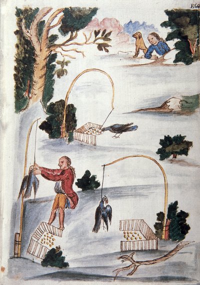 Metodo per catturare uccelli con il laccio, dal libro "Trujillo del Peru" o "Codice Martínez Compañón", di Baltazar Martinez Compañón y Bujanda, vescovo di Trujillo (1782-1785) da Unknown artist