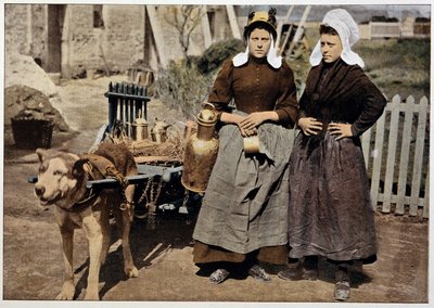 Venditori di latte e carretto trainato da cani di Anversa, fine XIX secolo da Unknown artist