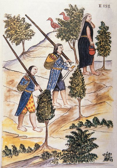 Indiani Motilones che vanno a caccia, dal libro "Trujillo del Peru" o "Codice Martínez Compañón", di Baltazar Martinez Compañón y Bujanda, vescovo di Trujillo (1782-1785) da Unknown artist