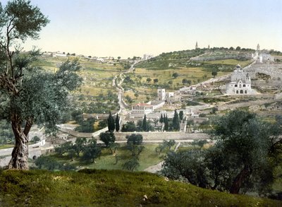 Monte degli Ulivi e Getsemani, Gerusalemme. Fotochrome tra il 1890-1900 da Unknown artist