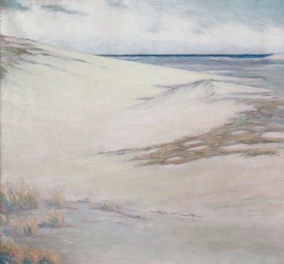 Sulle dune, Cape Cod, Massachusetts da Unknown artist