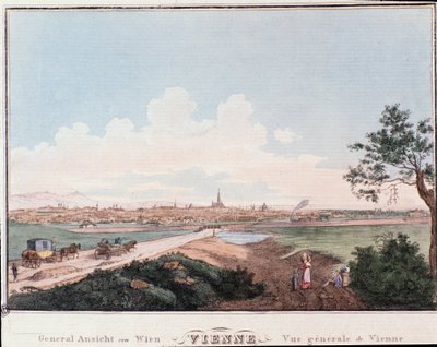 Veduta della città di Vienna con ponte che attraversa il Danubio. Austria Incisione del 1830 Collezione privata da Unknown artist