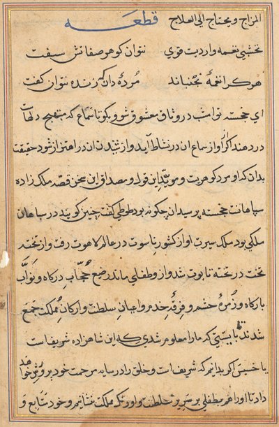 Pagina dai Racconti di un pappagallo (Tuti-nama): pagina di testo da Unknown artist