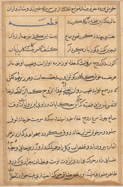 Pagina dai Racconti di un pappagallo (Tuti-nama): pagina di testo da Unknown artist