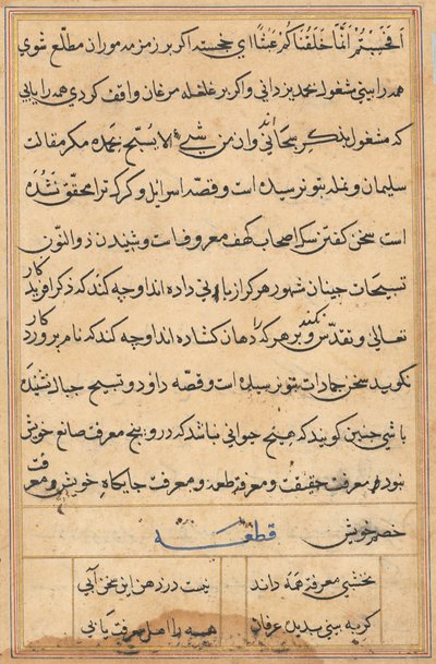 Pagina dai Racconti di un pappagallo (Tuti-nama): pagina di testo da Unknown artist