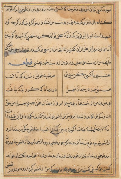Pagina dai Racconti di un pappagallo (Tuti-nama): pagina di testo da Unknown artist