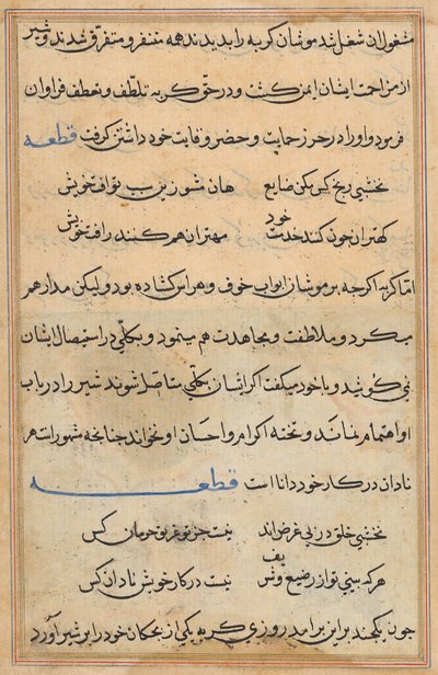 Pagina da Tales of a Parrot (Tuti-nama): pagina di testo da Unknown artist