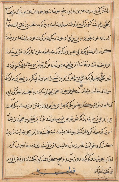 Pagina da Tales of a Parrot (Tuti-nama): pagina di testo da Unknown artist