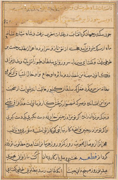 Pagina da Tales of a Parrot (Tuti-nama): pagina di testo da Unknown artist