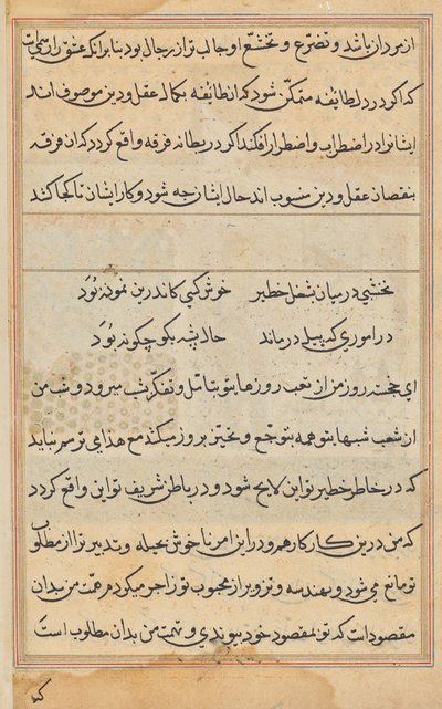 Pagina da Tales of a Parrot (Tuti-nama): pagina di testo da Unknown artist