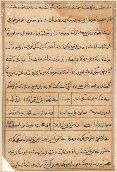 Pagina da Tales of a Parrot (Tuti-nama): pagina di testo da Unknown artist