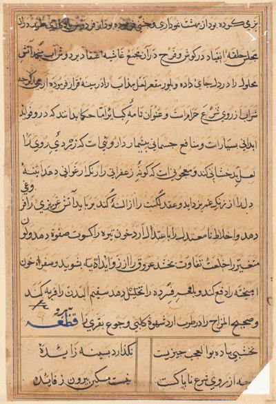 Pagina da Tales of a Parrot (Tuti-nama): pagina di testo da Unknown artist
