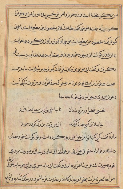 Pagina da Tales of a Parrot (Tuti-nama): pagina di testo da Unknown artist