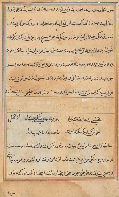 Pagina da Racconti di un pappagallo (Tuti-nama): pagina di testo da Unknown artist