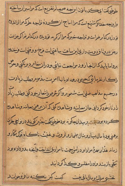 Pagina da Racconti di un pappagallo (Tuti-nama): pagina di testo da Unknown artist