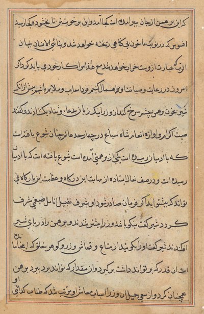 Pagina da Racconti di un pappagallo (Tuti-nama): pagina di testo da Unknown artist