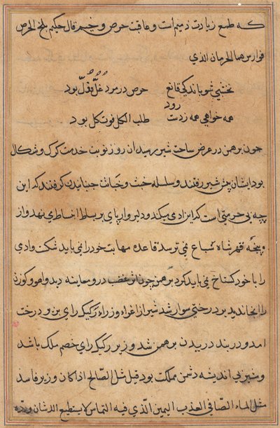 Pagina da Racconti di un pappagallo (Tuti-nama): pagina di testo da Unknown artist