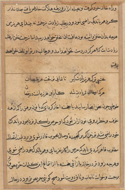 Pagina da Racconti di un pappagallo (Tuti-nama): pagina di testo da Unknown artist