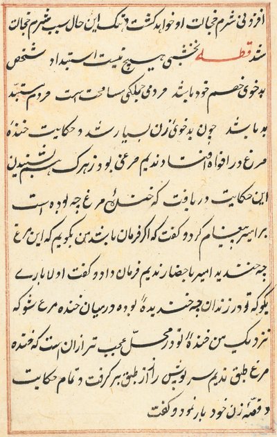 Pagina da Racconti di un pappagallo (Tuti-nama): pagina di testo da Unknown artist