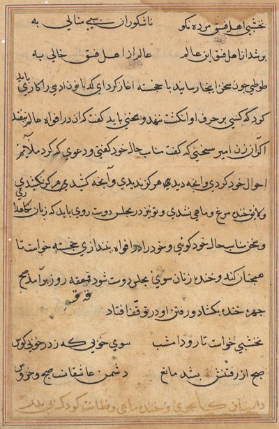 Pagina da Tales of a Parrot (Tuti-nama): pagina di testo da Unknown artist