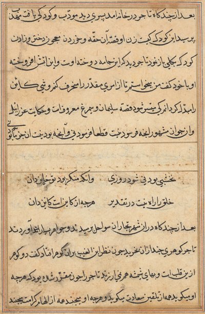 Pagina da Tales of a Parrot (Tuti-nama): pagina di testo da Unknown artist