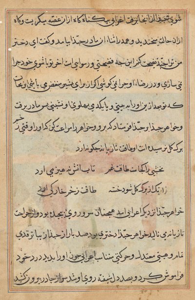 Pagina da Tales of a Parrot (Tuti-nama): pagina di testo da Unknown artist