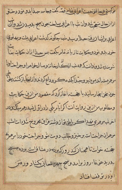 Pagina da Tales of a Parrot (Tuti-nama): pagina di testo da Unknown artist