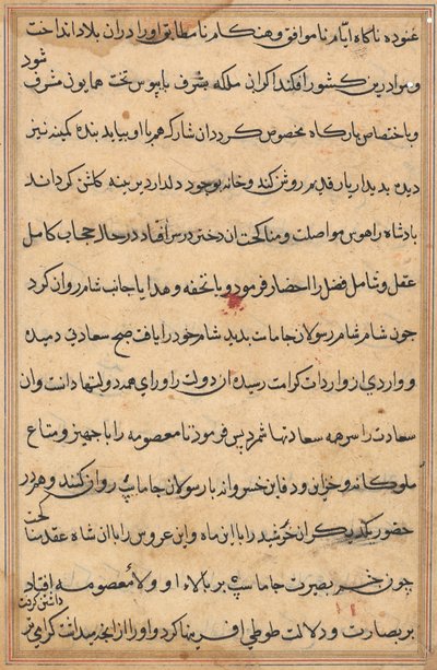 Pagina da Tales of a Parrot (Tuti-nama): pagina di testo da Unknown artist