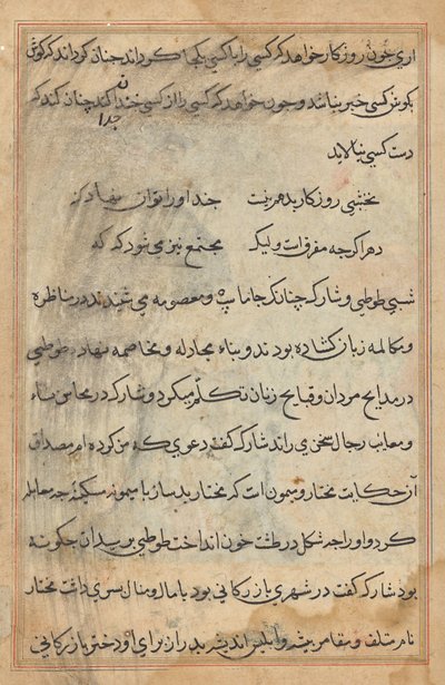 Pagina da Tales of a Parrot (Tuti-nama): pagina di testo da Unknown artist