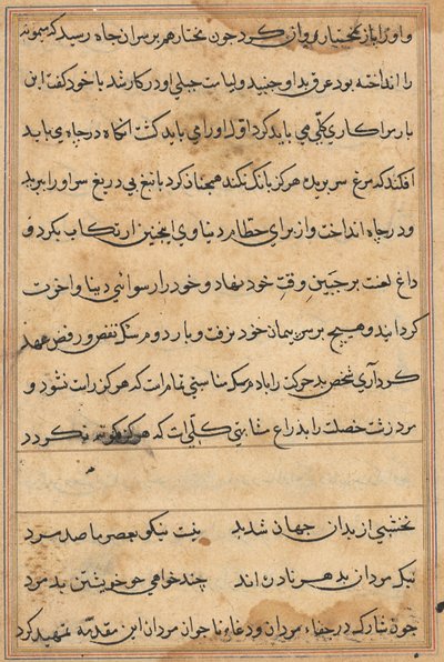 Pagina da Tales of a Parrot (Tuti-nama): pagina di testo da Unknown artist
