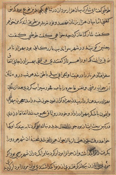 Pagina da Tales of a Parrot (Tuti-nama): pagina di testo da Unknown artist