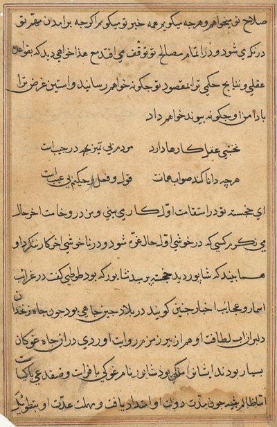 Pagina da Tales of a Parrot (Tuti-nama): pagina di testo da Unknown artist