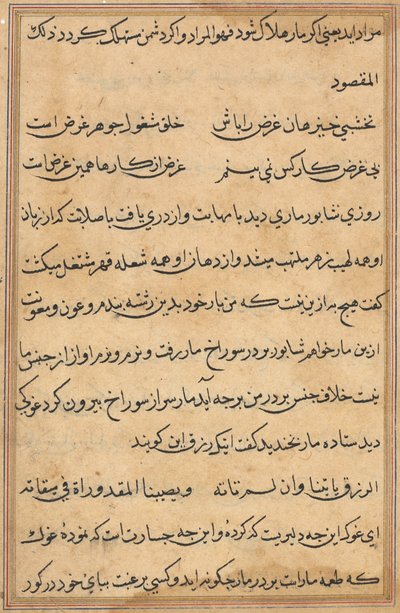 Pagina da Tales of a Parrot (Tuti-nama): pagina di testo da Unknown artist