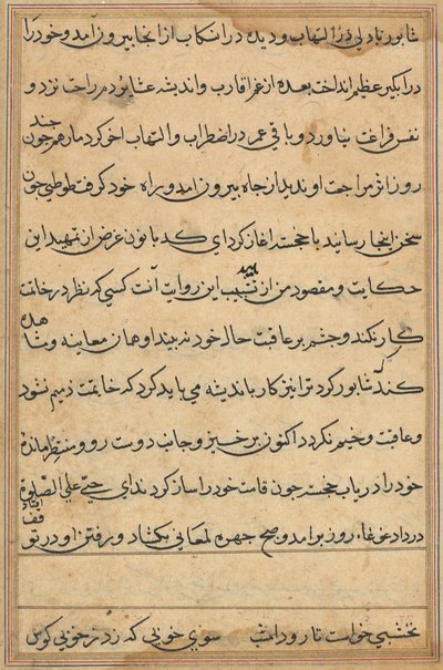 Pagina da Tales of a Parrot (Tuti-nama): pagina di testo da Unknown artist