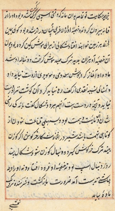 Pagina da Tales of a Parrot (Tuti-nama): pagina di testo da Unknown artist