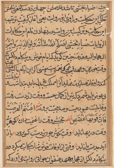 Pagina da Tales of a Parrot (Tuti-nama): pagina di testo da Unknown artist