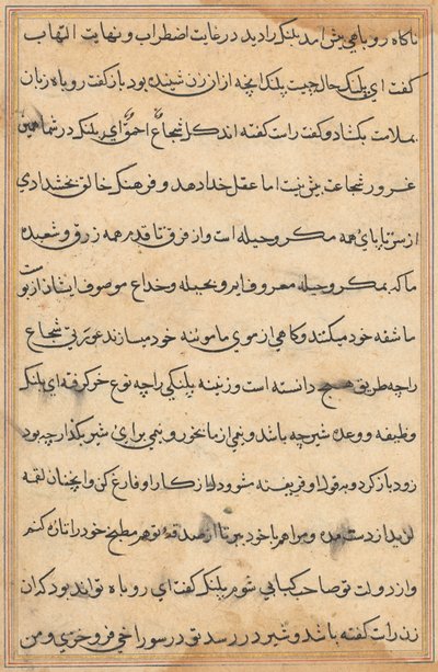 Pagina da Storie di un pappagallo (Tuti-nama): pagina di testo da Unknown artist