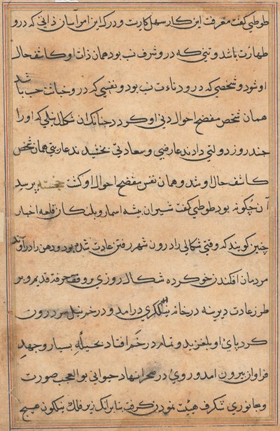 Pagina da Storie di un pappagallo (Tuti-nama): pagina di testo da Unknown artist