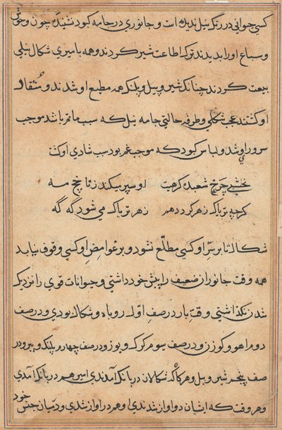 Pagina da Storie di un pappagallo (Tuti-nama): pagina di testo da Unknown artist