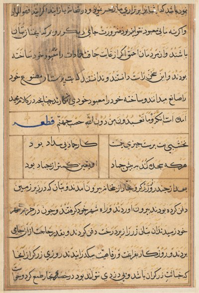 Pagina da Storie di un pappagallo (Tuti-nama): pagina di testo da Unknown artist