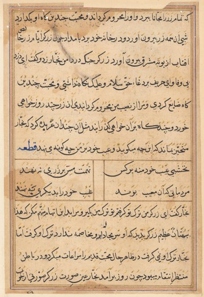 Pagina da Storie di un pappagallo (Tuti-nama): pagina di testo da Unknown artist