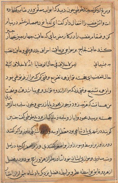 Pagina da Storie di un pappagallo (Tuti-nama): pagina di testo da Unknown artist
