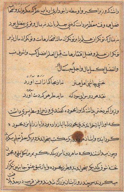 Pagina da Storie di un pappagallo (Tuti-nama): pagina di testo da Unknown artist
