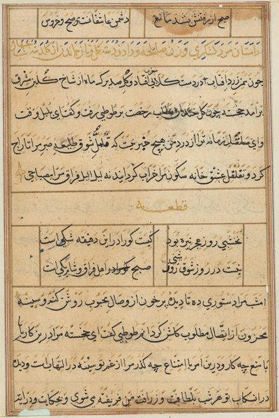 Pagina da Storie di un pappagallo (Tuti-nama): pagina di testo da Unknown artist