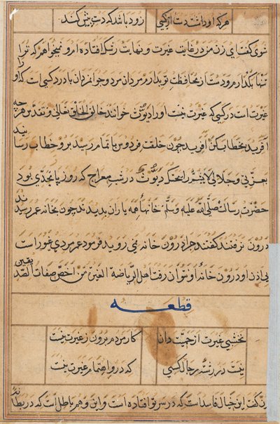Pagina da Storie di un pappagallo (Tuti-nama): pagina di testo da Unknown artist