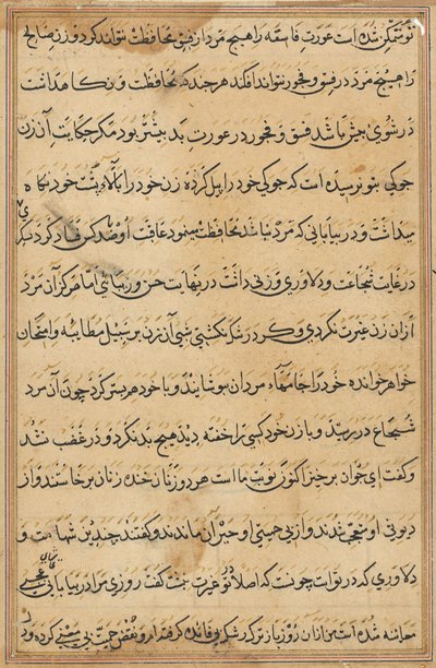 Pagina da Storie di un pappagallo (Tuti-nama): pagina di testo da Unknown artist