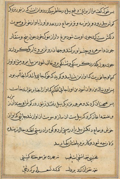 Pagina da Storie di un pappagallo (Tuti-nama): pagina di testo da Unknown artist