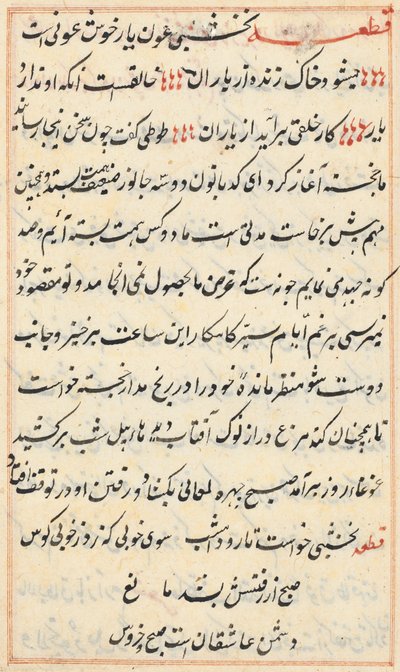 Pagina da Storie di un pappagallo (Tuti-nama): pagina di testo da Unknown artist